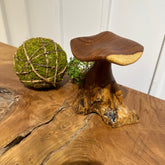 Wooden Based Mushroom Design 3 (Set of 2) - AVRS FURNITURE